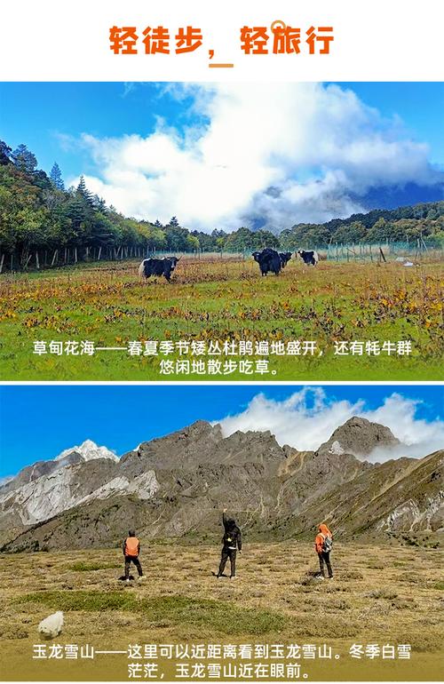 旅游招徠與委托操作的法律關(guān)系解析 以福建東南游國際旅行社為例
